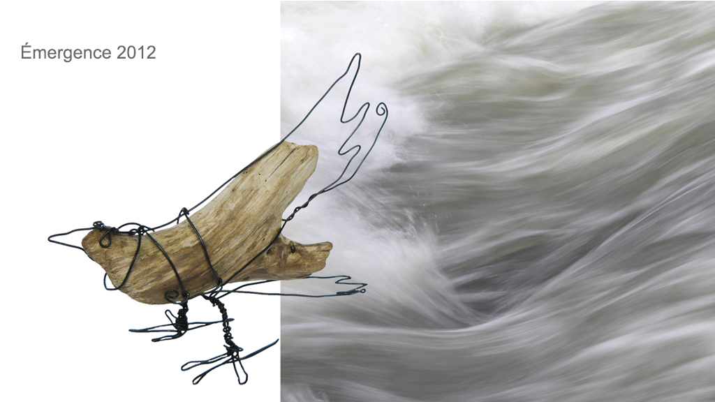Émergence Sylvie Tisserand