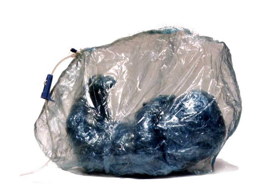 Émergence Sylvie Tisserand